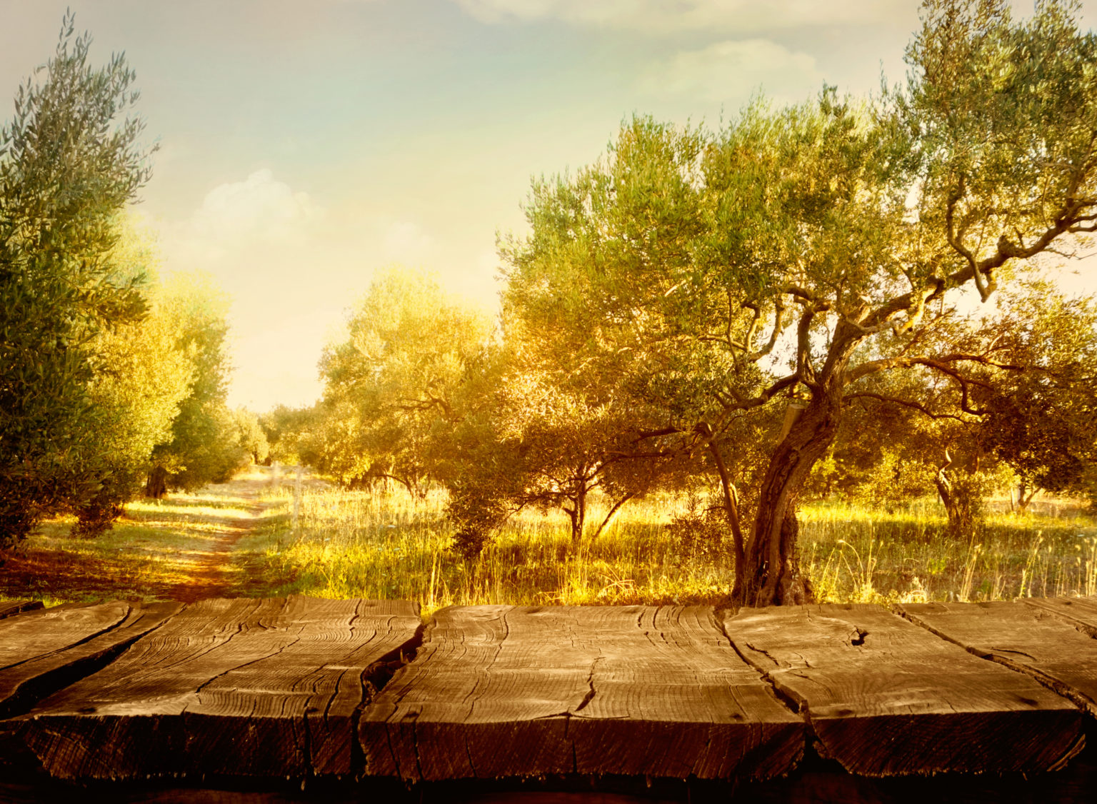 Olive Oil & Oleocanthal Mediterranean Diet